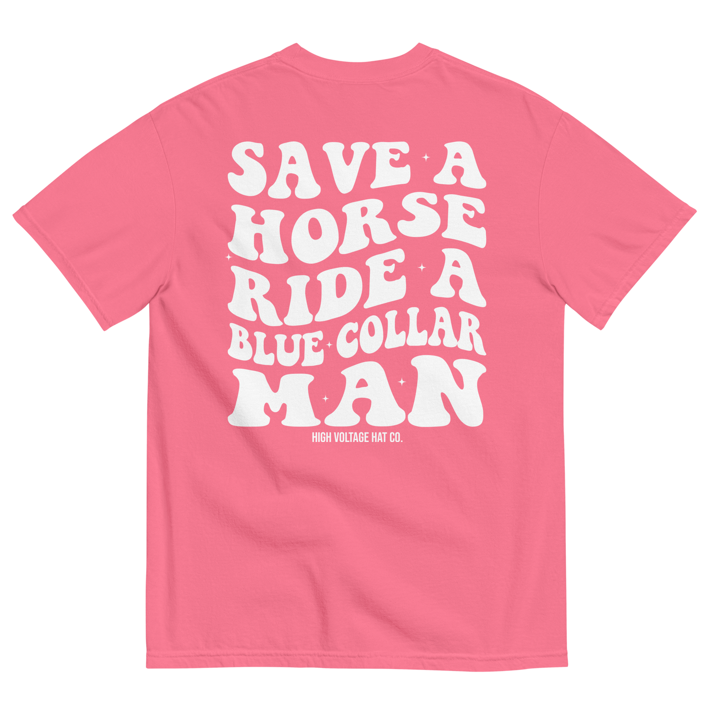 Save a Horse